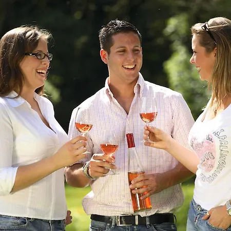 Flair Vino Vitalis Hotel Bad Fussing